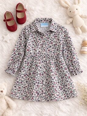 Draper James Toddler Floral Corduroy Dress Size 4 Pink Floral Button Front